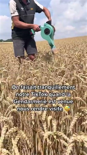 AGRICULTURE -UN CHAMP DE BLE SOUS SURVEILLANCE #agricultures #tracteurs#agriculteurs#marca2c