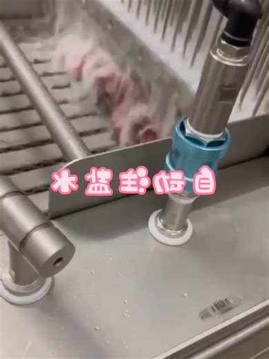 Brine injector machine Whatsapp ; 86 19033095611 Email: ella@vipstarmachinery.com One injection, full flavor! Deep penetration, perfect tenderness! Evenly injected, juicy every bite! Boost yield, make meat better! Precision injection, premium quality! #foodmachine #vipstarmachinery #bowlingtiktok #shijiazhuang #shijiazhangmeatmachine #frozenmeatcutter #foodmachinery #shijiazhuangchina #flakermachine #makingsausagemachine #petfood #factroy #sausagestuffermaker #sausage #machinery #smokers #machin