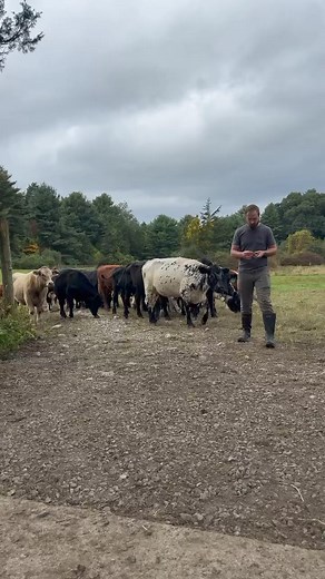 Crescent Ridge on Reels