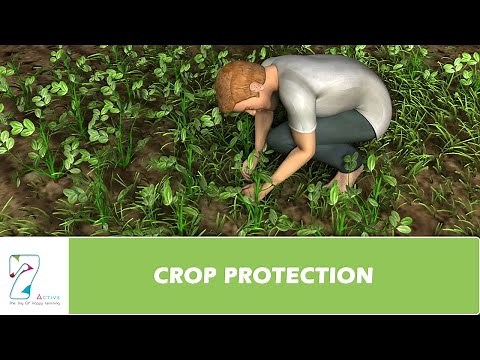 CROP PROTECTION
