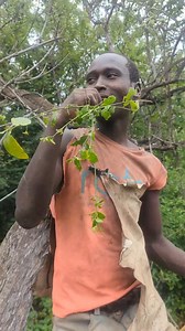 Hadzabe Tribe bushmen use these ancient traditional techniques to keep their teeth clean as they get anything they need in their lifestyle from the nature itself | Lovable Adventures