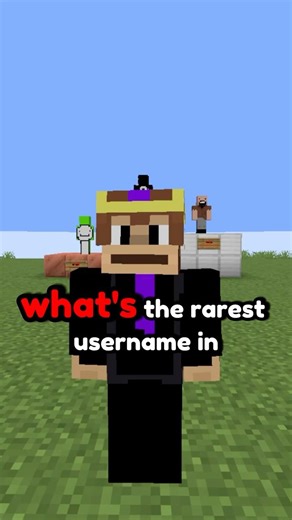 What's The Rarest Username In Minecraft!
