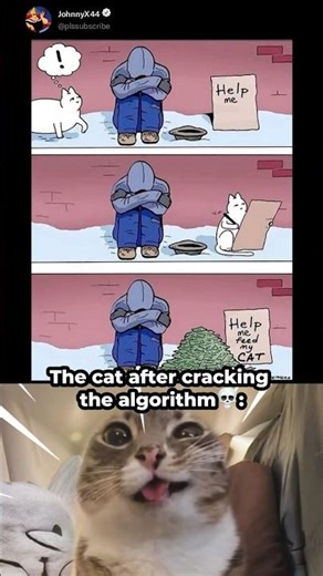 Cat cracking the algorithm 😏