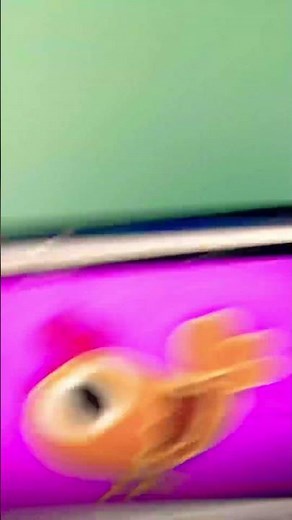 Patchwork Pals: The Chicken it’s Dancing Remix! 🐔⬆️⬇️⬅️➡️