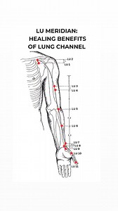 41K views · 437 reactions | LU MERIDIAN:HEALING BENEFITS OF LUNG CHANNEL#acupuncture #acupressure #reels #luchannel #breathissues #asthma #stress #acupuncturistaadilkhan | Aadil Khan | Facebook