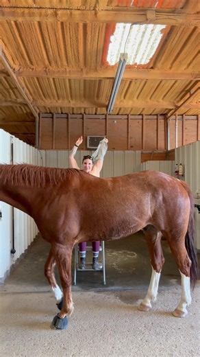 Barn behavior