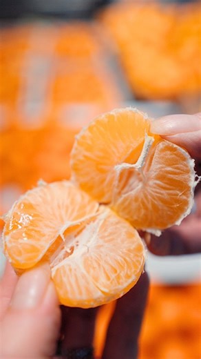 METRO Қазақстан 🇰🇿 on Instagram: "Сколько мандаринов помещается в стандартный пакет «маечку»? 🍊🛍️ Правильный ответ вы узнаете в следующем посте! ---- Стандартты «майка» пакетке қанша мандарин сыяды? 🍊🛍️ Дұрыс жауабын келесі посттан білесіз!"