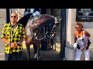 You Won't Believe these Hilarious Royal Kings Guards Horse Pranks!