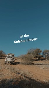 Exploring the Kalahari Desert with the brand new Canon RF 100-300mm f/2.8 #EOSMaestro #canonindia_official #CapturedOnCanon #DoGreatWithCanon | Dr Caesar Photography