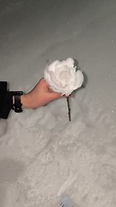 694K views · 405 reactions | Watching snow become art feels almost unreal ️. This artist shapes fragile flowers straight from ice, working patiently in the cold while every detail slowly comes to life . What begins as frozen snow turns into something soft and expressive, proving that creativity can grow anywhere when skill and vision meet ❄️. Art by: 969299358 & 858902863 (Douyin) | Artdaily Unity | Facebook