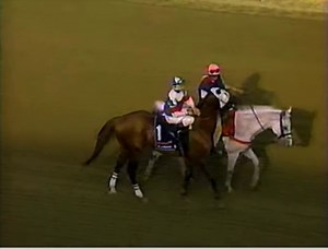 1996 Flamingo Stakes - El Amante I always thought this was a really nice looking horse. He ended up skipping the Kentucky Derby. Kind of a funky field with many familiar but mostly forgotten names. Wills Way would go on to have a really nice career. | Western Racehorse