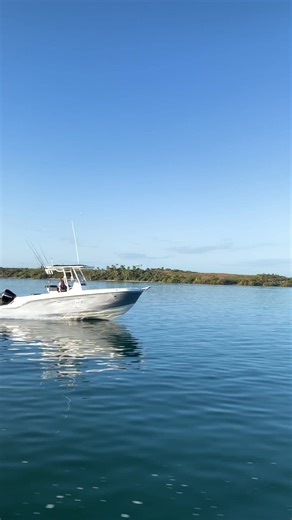 1.1K views · 19 reactions | Our hottest prices on the T24CC are here! Discover how much you can save, but hurry these deals end on April 30th! https://bit.ly/40Msj8t  | Bayliner Boats | Facebook