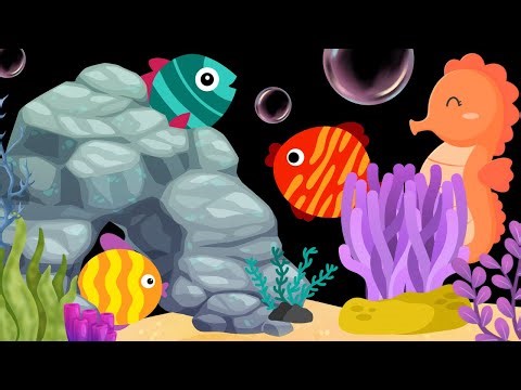 Baby Sensory Video – High Contrast for Newborn – Sensory Videos for Babies - Tummy Time #baby