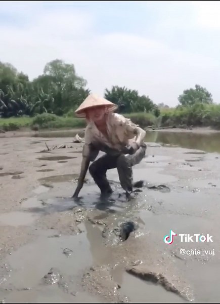 Exploring Traditional Fishing Techniques in Vietnam