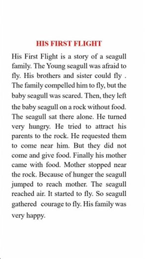 Plus One English - His First Flight - Chapter Summary