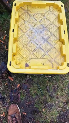 Spoon Carving Art Techniques and Tips