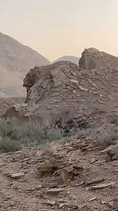 4.9K views · 999 reactions | Quase não tem javali  . . . . #javali #java #javaporco #porco #roça #campo #viral | Caçada dos Guapos | Facebook