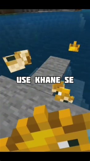 Secret Tips For Minecraft biggeners!!