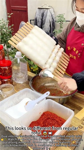 Handcrafted Moldy Tofu Magic! 🧀✨