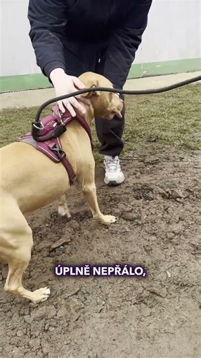 Byli jste na téhle akci? 😲