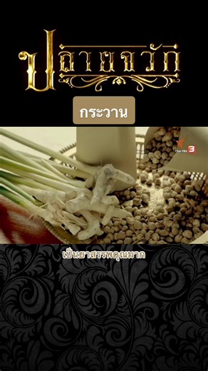 #หน่อกระวาน #ลูกกระวาน #กระวาน #ปลายจวัก END #วัฒนธรรมอาหารของไทย #TikTokUni #TikTokEdu ➕❤️