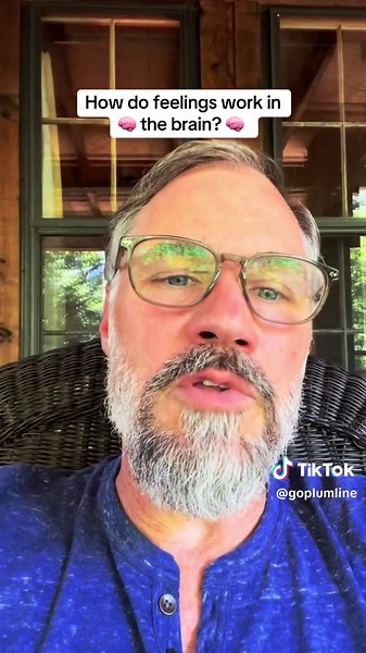 How do feelings work in the brain? Feelings are housed in the limbic system, located in the rear, above the brain stem. This region operates distinctively: it doesn’t process language and has no sense of time. Hence, articulating emotions during heightened states can be challenging. This peculiarity also explains why past emotional, mental, or physical pain can feel as fresh today as it did when experienced, shaping present interactions and perceptions of reality. These longstanding wounds influ