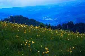 5 Awesome Hikes in the Heart of Oregon Wine Country