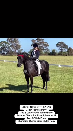 zoe.and.alfie (@zoe.and.alfie)’s videos with original sound - 𝙇𝙭𝙪𝙞𝙨𝙨𝙤𝙪𝙣𝙙𝙯 🫶🏻