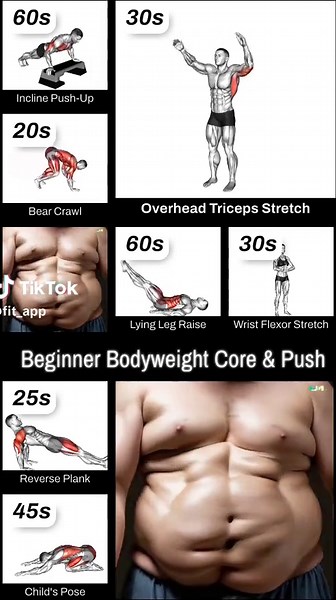 Full workout 👇 ⏱️ Duration: 13 minutes 💪 Difficulty: intermediate 🔥 Beginner Bodyweight Core & Push Foundation 📋 Block A (2 sets): • Incline Push-Up - 8 reps, rest 30s • Sitting Knee Tuck on a Chair - 12 reps, rest 30s • Bear Crawl Plyometrics - 20s, rest 45s 📋 Block B (2 sets): • Front Plank - 30s, rest 30s • Lying Leg Raise - 12 reps, rest 30s • Reverse Plank - 25s, rest 45s #beginner #bodyweight #core #push #foundation #workout #levelin