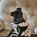 Dog Dresses for Small Dogs Girl Female Dog Cat Clothes Dress Cute Cotton Extra Summer Clothes Bow Decor Printed Love Birthday Outfit Puppy Clothes (Light Pink & Black, Large)