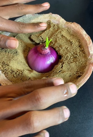 How to grow onion #viralvideo #gardening #kitchen