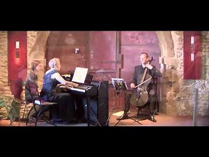 Carbon fiber cello - Pal Jardanyi- Sonatina per Violoncello e Pianoforte V2