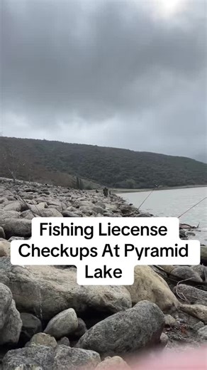 Yeah, No Fishing License? Don’t Come To Pyramid Lake. They are doing Liecense checks on daily basis as of today. #fishing #fyp #viral #tiktokviralvideo #pesca