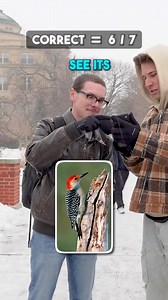 College student aces bird identification challenge!