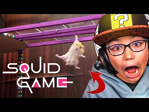 DES HAMSTERS jouent à SQUID GAME dans LA VRAIE VIE ! (incroyable)
