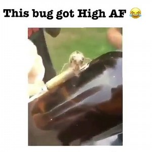 😂😂😂 | Weed Humor