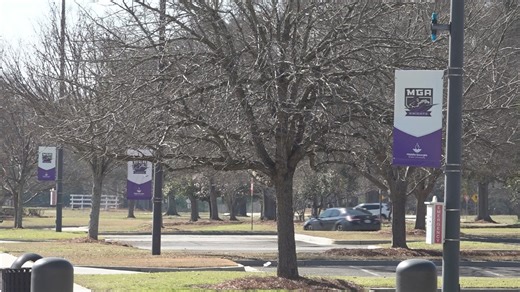 Middle Georgia State University to launch first AI bachelor's program in USG system