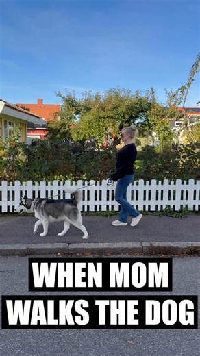 Sixty Formula on Instagram: "Woman Walking A Husky vs. Man Walking A Husky #husky #huskies #siberianhusky #huskiesofig #huskiesofinsta #huskyworld #siberianhuskies #malamute #puppies #dogs #funnydogs #funnydogsofinstagram #funnydogvideos"