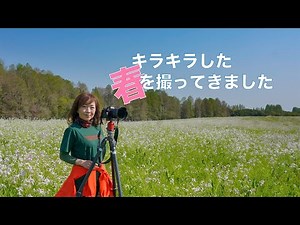 キラキラした春〜風景ショートムービー