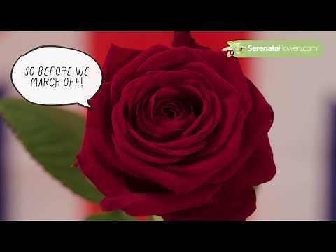 Order of Business: Fresh Flowers Delivered Next Day