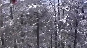 Red Spirit Lake 1993