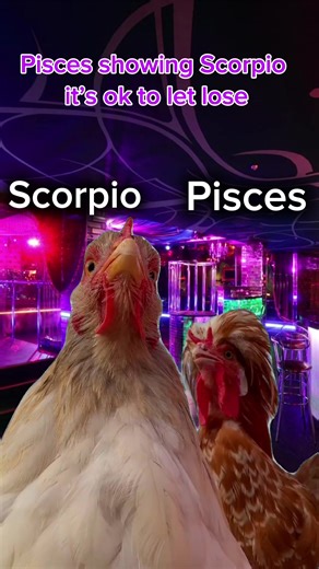 Scorpio and Pisces: A Dynamic Zodiac Connection