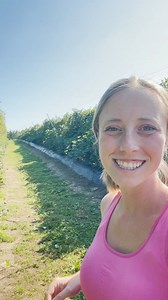 21K views · 79 reactions | It's finally Apple Harvest Festival at the Orchard! Hear from Julianne about apple picking this weekend. #daytrip #familyfun #upick #scranton #appleorchard | Lakeland Orchard & Cidery | Facebook