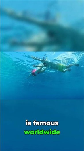 Bonaire's Hidden Snorkel Paradise: Revealed!