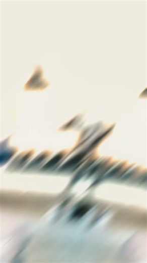 Change. Evolve. Adapt. Training shouldn’t stay static. The Freebell forces constant adjustment—challenging balance, stability, and coordination on every rep. As the load shifts, you evolve: stronger control, better movement, and resilience that carries over beyond the weight room. Change the tool. Evolve the training. Build athletes that last. #freebell #strengthandconditioning #fitness #thefreebell #strengthtraining | FREEBELL