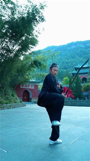 武當功夫劍法 | Wudang Kung fu sword #wudangkungfu #wudangwushu #wudangmountain #wudangshan #wudang