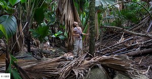 Seychelles : bienvenue au paradis des coco-fesses