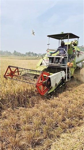 #class mashine #jcb backhoe #bulldozer #automobile