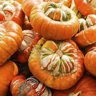 How to Cook a Turban Squash