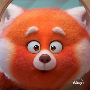 Crescer é bestial! Não percas "Turning Red: Estranhamente Vermelho", o novo Filme Original da Disney e Pixar, disponível a 11 de março em exclusivo no Disney . | Disney